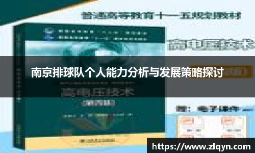 南京排球队个人能力分析与发展策略探讨